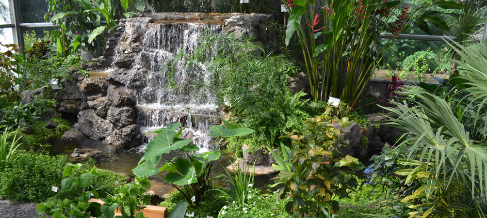 Waterfall